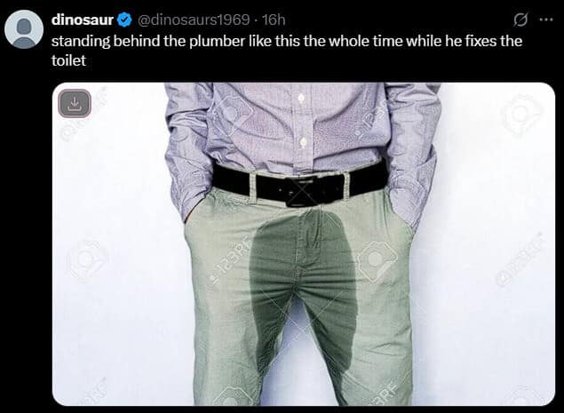 Tweet shows a stock image of a man with a big wet stain on khaki pants; caption says they stand like this watching the plumber fix the toilet.