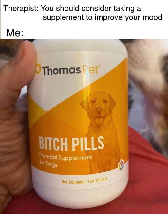 A classic meme where a therapist suggests a mood supplement, and the person holds up "B-Pills" for dogs.