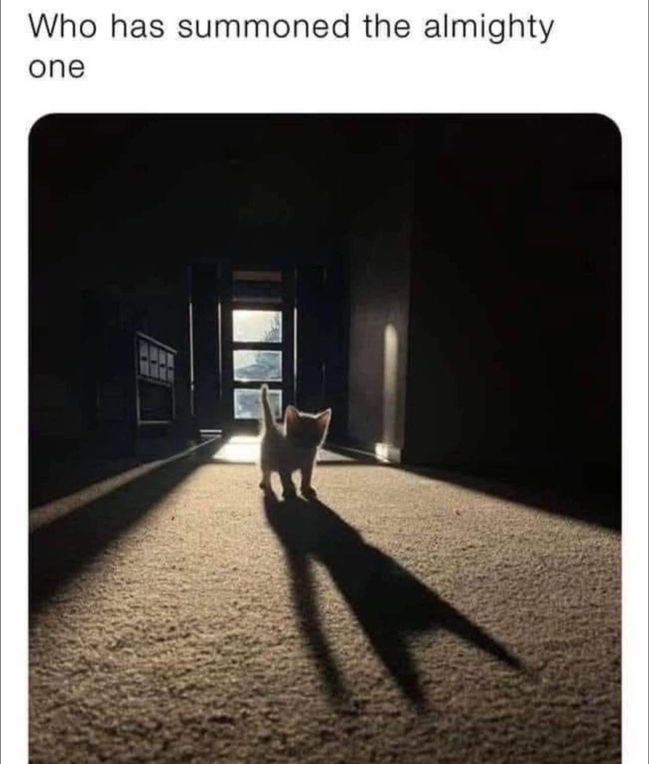 A classic meme of a tiny kitten standing in a doorway with a long, dramatic shadow and the caption "Who has summoned the almighty one."
