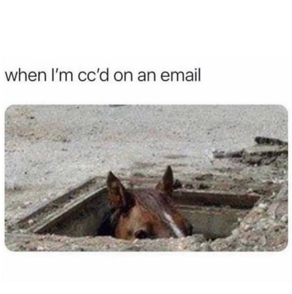 A classic meme of a horse peeking out of a manhole, representing being cc'd on an email.