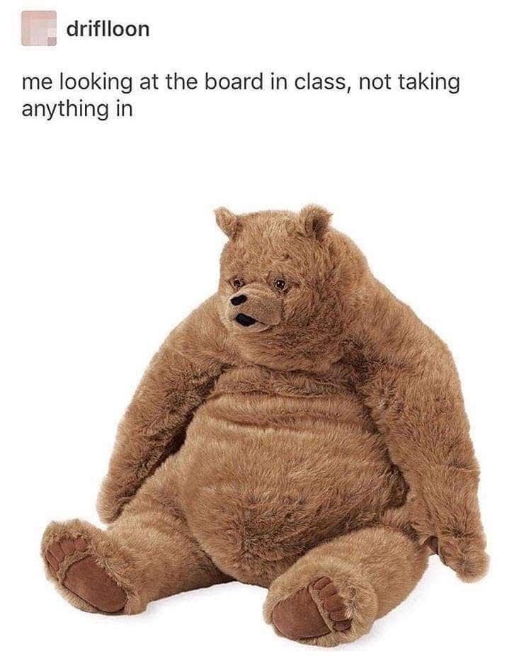 A classic meme of a sad, lumpy stuffed bear representing the feeling of zoning out in class.