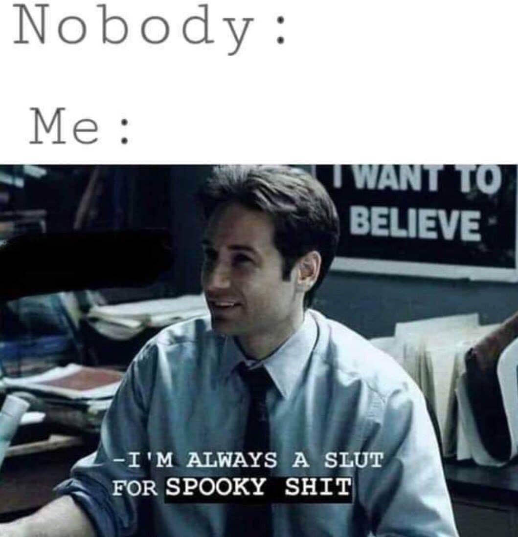 Fox Mulder from The X-Files saying "I'm always a slt for spooky sht," a classic meme for Halloween lovers