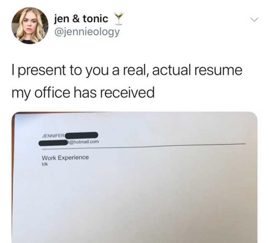 A classic meme of a real resume where the only work experience listed is "idk."