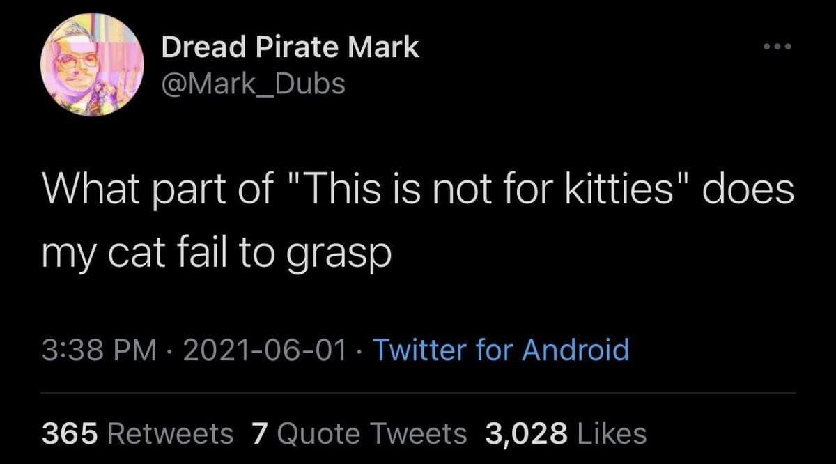 Tweet asks, “What part of ‘This is not for kitties’ does my cat fail to grasp.”