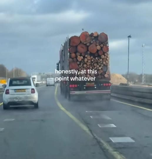 A classic meme of a logging truck with a caption of pure resignation and acceptance.