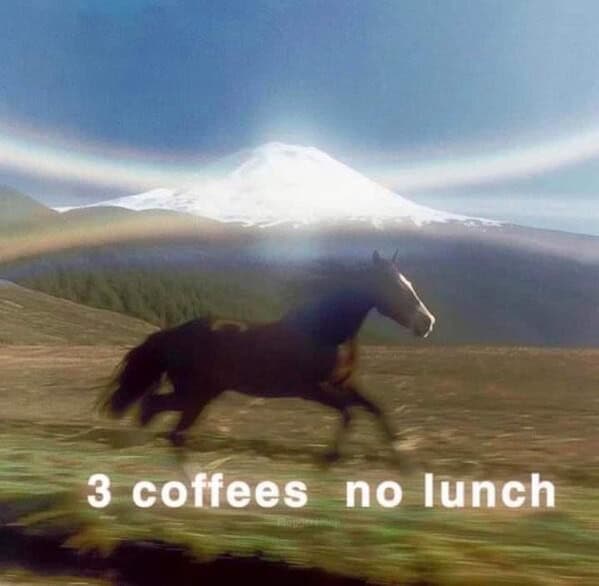 A coffee meme showing a blurry horse running with the caption "3 coffees no lunch."