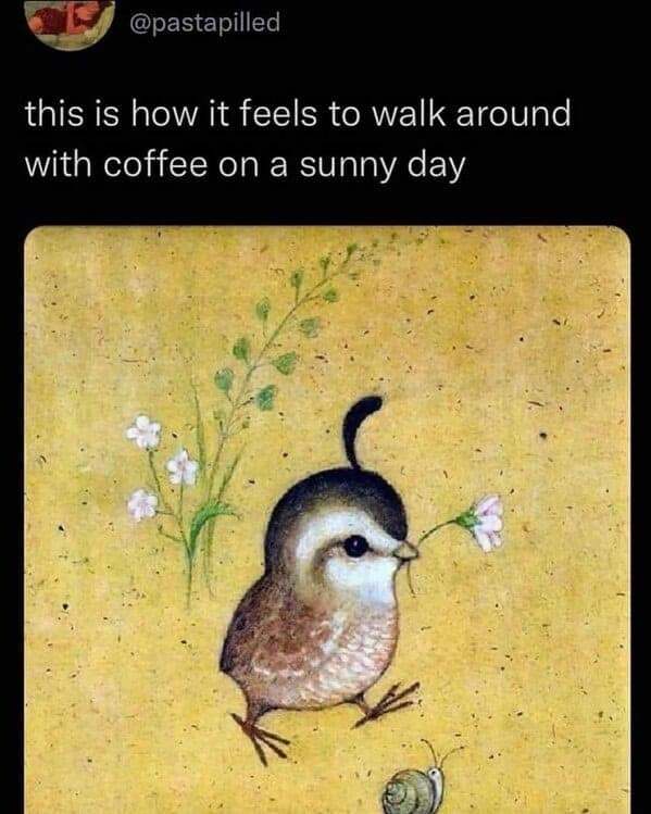A cute coffee meme with a painting of a bird that represents the feeling of walking with coffee on a sunny day.