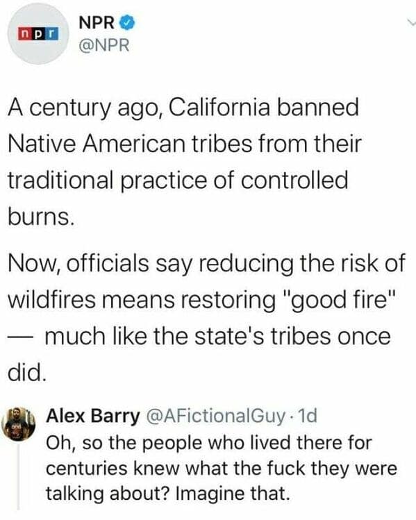 A post about California restoring controlled burns gets a sarcastic reply about Indigenous knowledge being right all along.