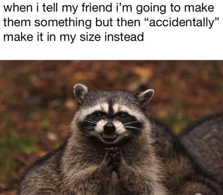 Mischievous raccoon rubbing paws with caption about ‘accidentally’ making the project in your size