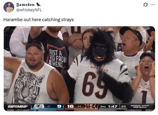 A crazy NFL fan supporting the Cincinnati Bengals by wearing a full gorilla mask in the stadium stands.