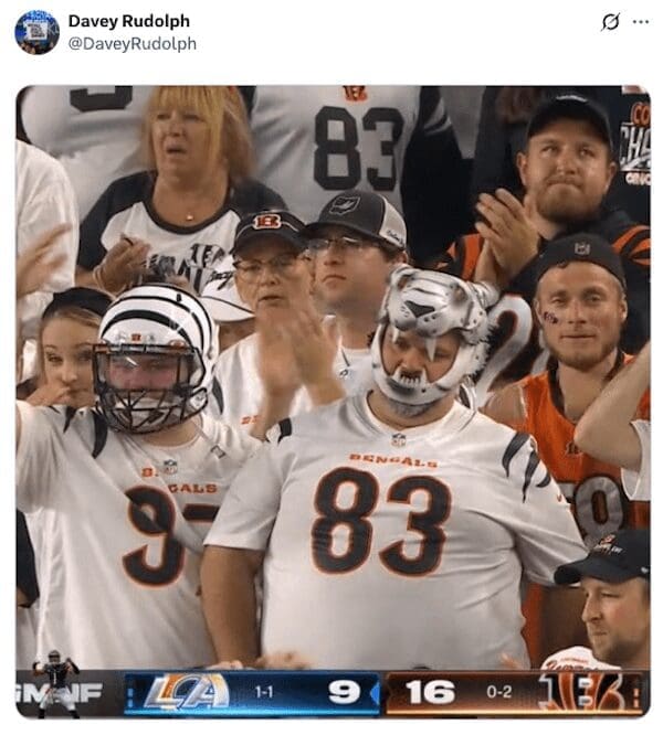 Two dedicated Cincinnati Bengals fans wearing a football helmet and a strange white tiger mask in the stands.