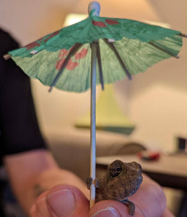 An incredibly tiny and cute baby chameleon holding a small paper cocktail umbrella for some shade.