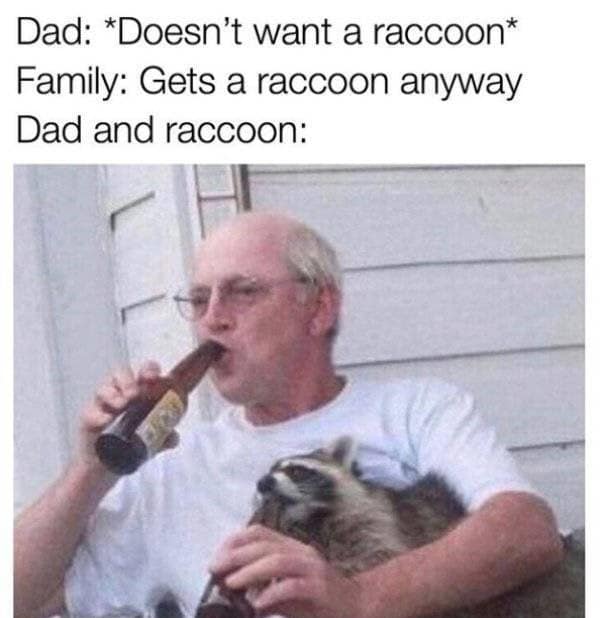 The classic and popular "Dad who didn't want a pet" meme, which features a photo of a dad who has now become the best friends with the family's new and adorable pet raccoon.