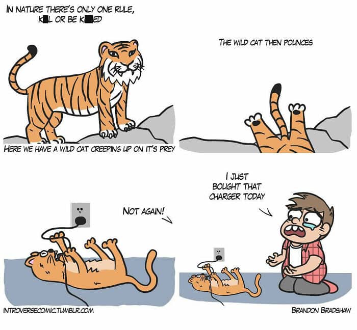 A dark humor comic where a house cat pounces on and "kills" a brand new phone charger.
