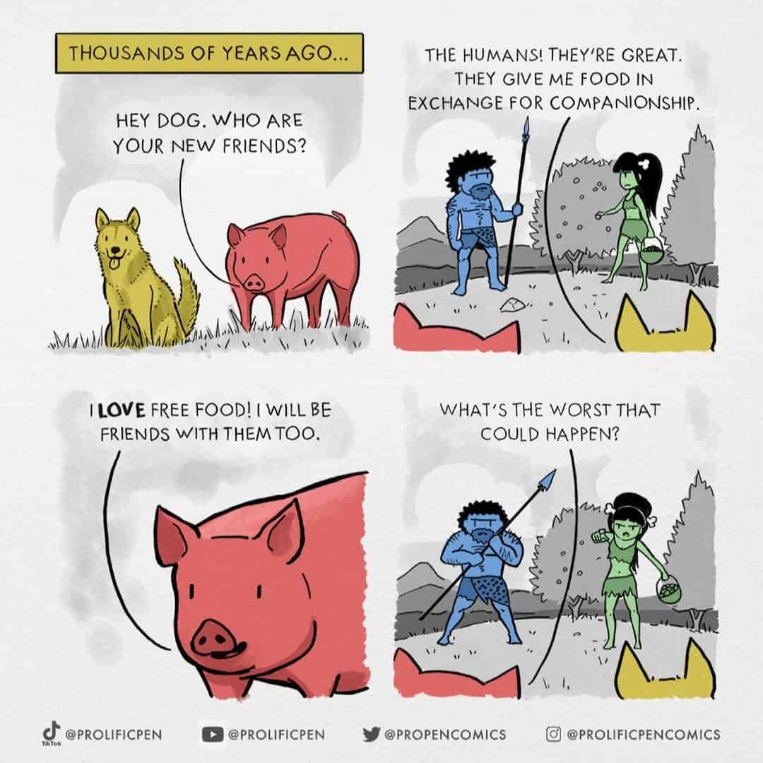 A dark humor comic from Yanni Davros about the different historical outcomes for the domesticated pig versus the dog.