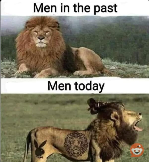 A "boomer" meme that compares a majestic lion ("Men in the past") to a silly-looking lion with a man-bun and tattoos ("Men today").