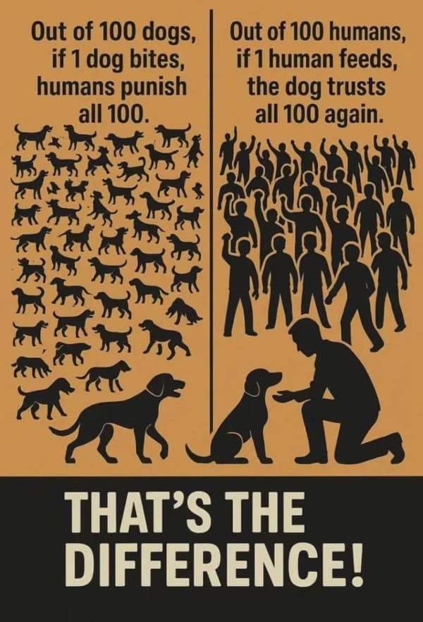 An infographic poster that makes a deep point comparing the loyalty of dogs and humans, with the caption "THAT'S THE DIFFERENCE!"