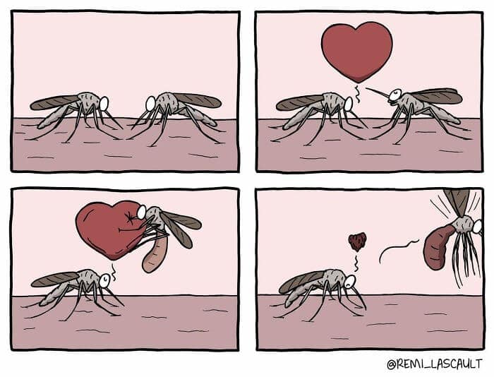 A silent but tragic four-panel comic that tells the story of two mosquitoes who fall in love, but one of them steals the other's heart, which is a drop of blood.