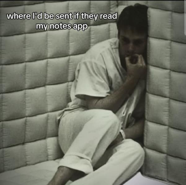 A relatable but depressing meme about being sent to a padded cell if anyone ever read your private phone notes app.