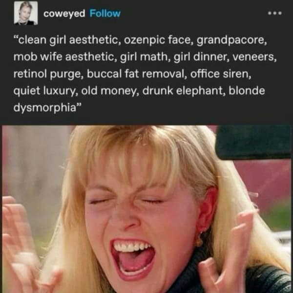 A meme with Laura Palmer from "Twin Peaks" screaming about the overwhelming number of modern aesthetic micro-trends for women.