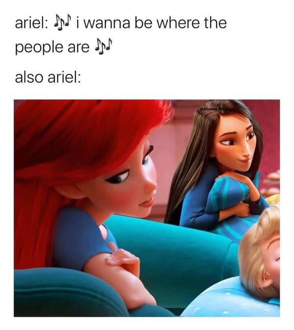 A funny meme from "The Little Mermaid" pointing out the hilarious irony of Ariel wanting to be around other people.