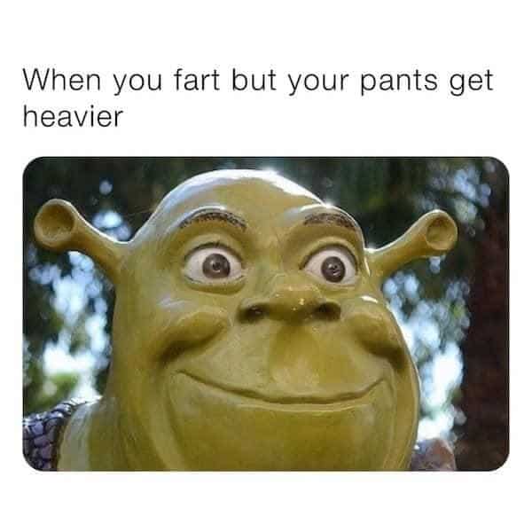 A funny fart meme with a nervous-looking Shrek for when you accidentally poop your pants a little bit.