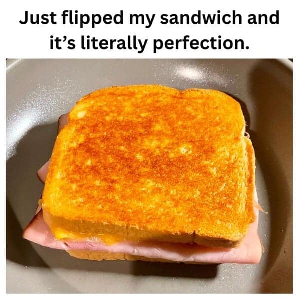 Golden, perfectly seared grilled sandwich in a skillet with melty cheese and ham peeking out; caption calls it perfection