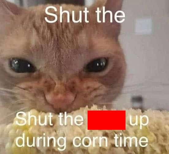 A food meme of an angry cat eating corn on the cob, demanding silence during "corn time."