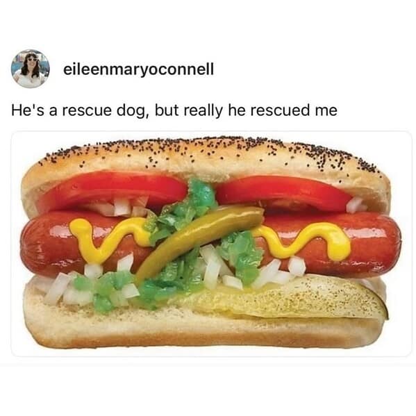 Chicago-style hot dog with mustard, relish, onions, tomato, pickle, and sport pepper; caption riffs “rescue dog.”