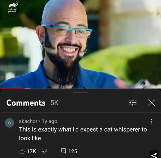 A classic YouTube comment on a video of Jackson Galaxy from My Cat from Hell, pointing out that he looks exactly like you would expect a "cat whisperer" to look.
