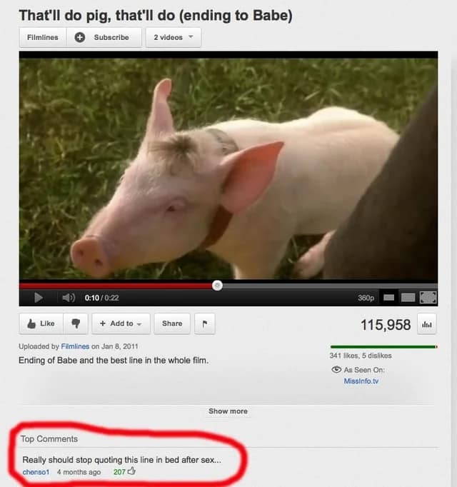 A hilarious and slightly cursed YouTube comment where a user admits to frequently quoting the famous line from the movie Babe, "That'll do pig, that'll do," after sex.