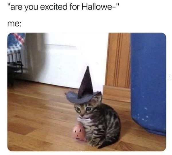 Tiny tabby kitten in a crooked witch hat sits on a hardwood floor by a door, clutching a mini pumpkin; caption trails off.