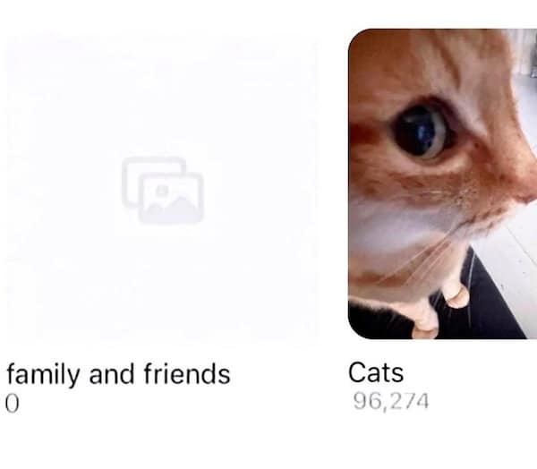 Phone gallery shows “family and friends – 0” next to “Cats – 96,274” with a close-up of an orange tabby.