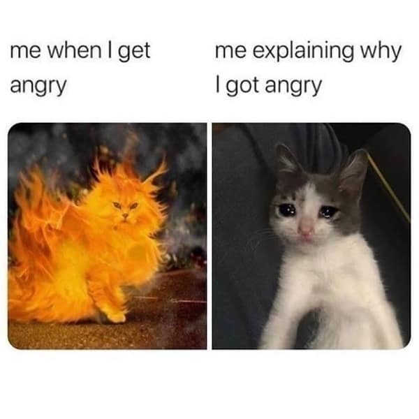 Two-panel—left, fiery angry puffball cat; right, teary kitten; labels read “me when I get angry” vs. “me explaining why.”