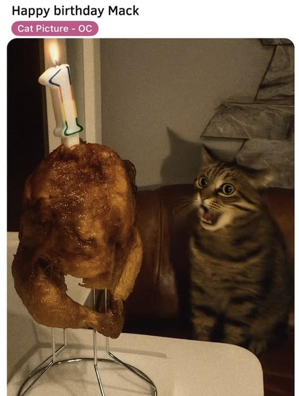 Wide-eyed tabby gawks at a roast chicken with a lit number-1 candle; post reads “Happy birthday Mack.”