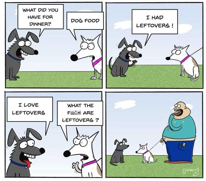 Two dogs chat about dinner; one brags about “leftovers,” the other asks what that is; final panel shows their very full owner on a leash walk.