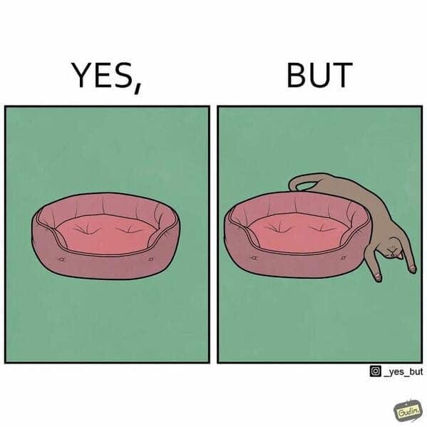 A funny comic strip showing the illogical way a cat sleeps in its bed, which is a relatable moment for any cat owner