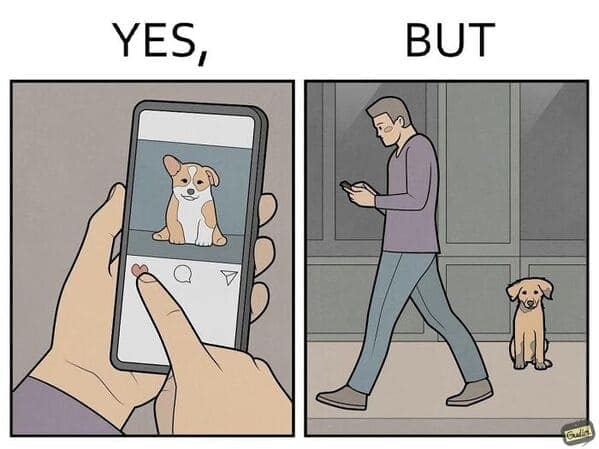 A sad and funny comic strip showing a person liking a dog photo on their phone while ignoring a real dog on the street.