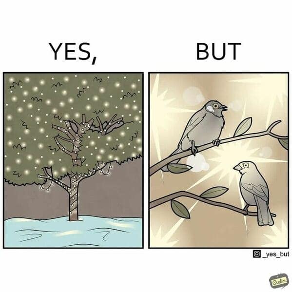 A Yes But funny comic strip showing how pretty Christmas lights on a tree might be annoying for the birds living there.
