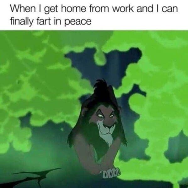A funny Disney meme using Scar from The Lion King to represent farting in peace after work.
