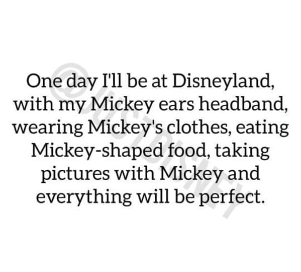 A funny Disney meme quote describing the perfect, magical day at Disneyland.