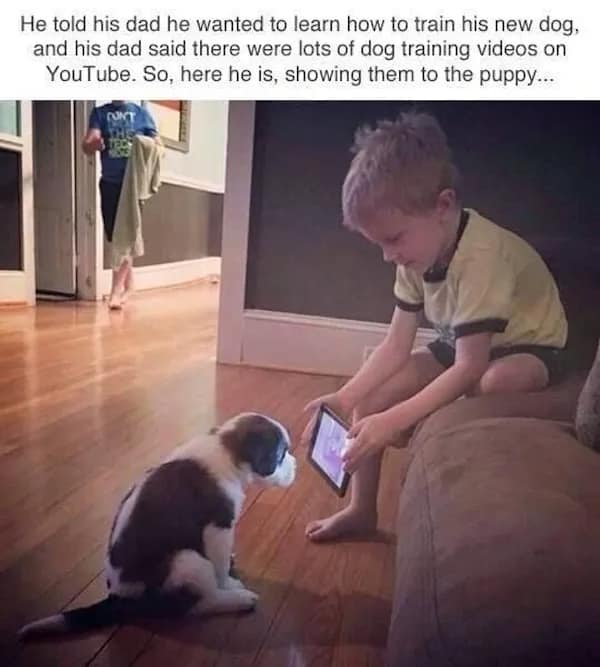 A wholesome photo of a little boy showing his new puppy dog training videos on a tablet computer.
