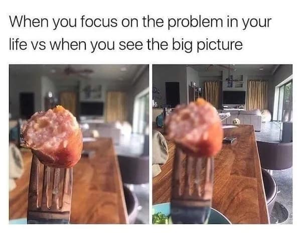 A two-panel meme showing that the "big picture" in life is always the dog waiting for you to drop your food.
