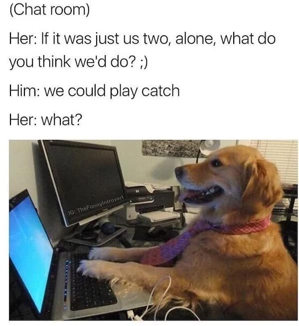 A golden retriever at a computer hilariously misinterpreting a flirty online chat by suggesting they "play catch.