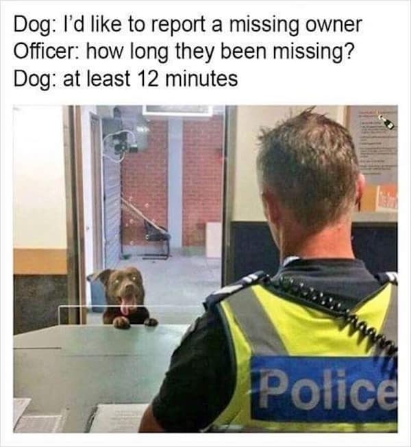 A funny meme showing a worried dog at a police station reporting its owner as missing for "at least 12 minutes."
