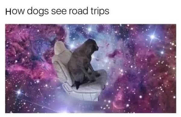 A funny meme that imagines how dogs see road trips: as a magical journey through a cosmic nebula.