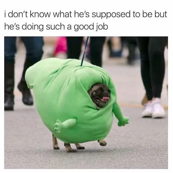 A happy pug wearing a bizarre, puffy green costume, with a caption praising him for doing a good job.