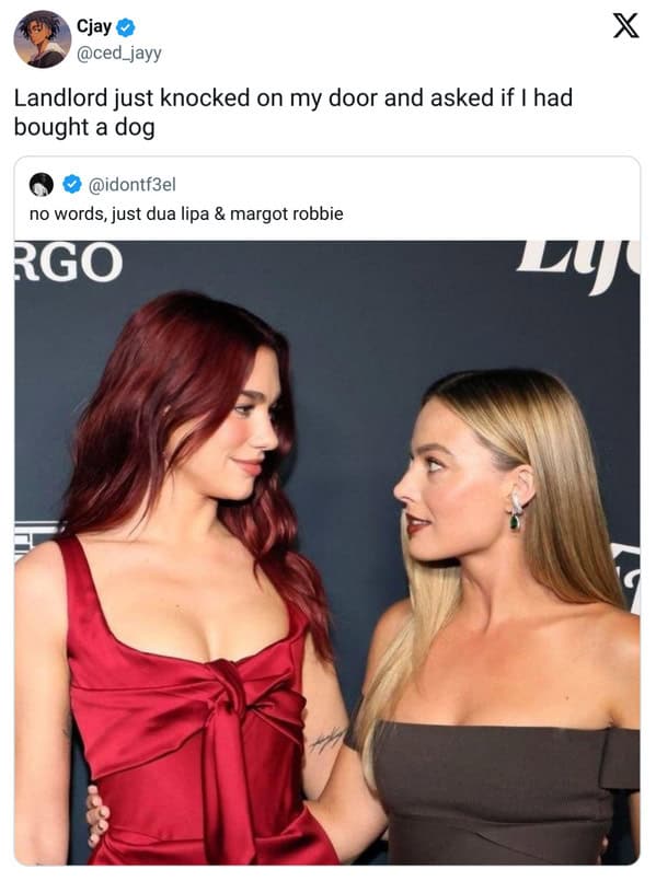 Red-carpet photo of two glamorous women facing each other; joke caption above.