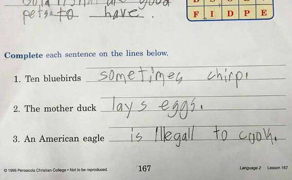 Fill-in worksheet lines: “Ten bluebirds sometimes chirp. The mother duck lays eggs. An American eagle is illegal to cook.”