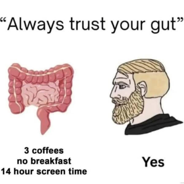 A "Chad" Wojak meme that hilariously makes fun of the advice to "always trust your gut," even when your gut is extremely unhealthy.